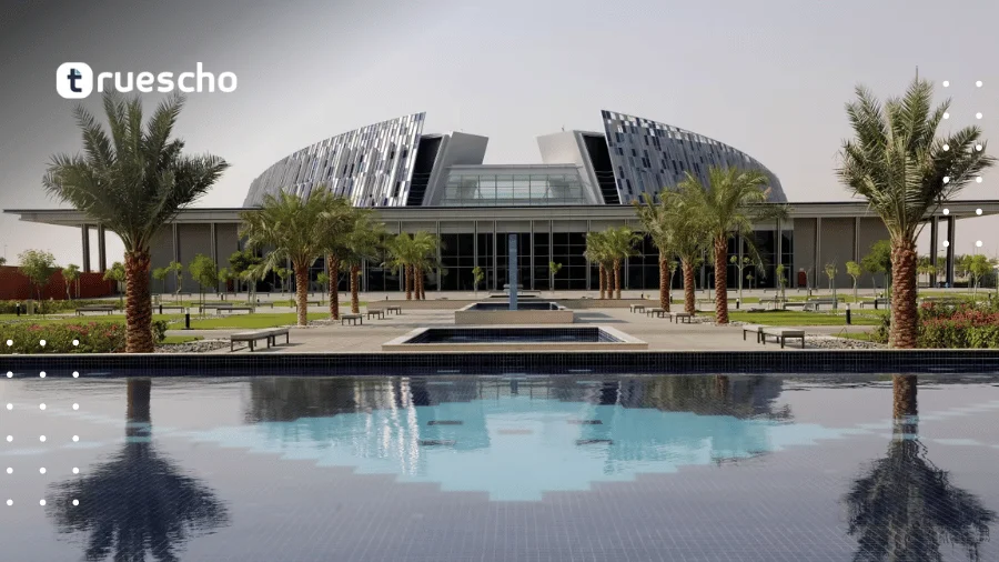 UAE University Scholarships