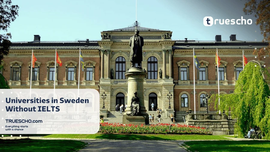 Scholarships In Sweden Without IELTS