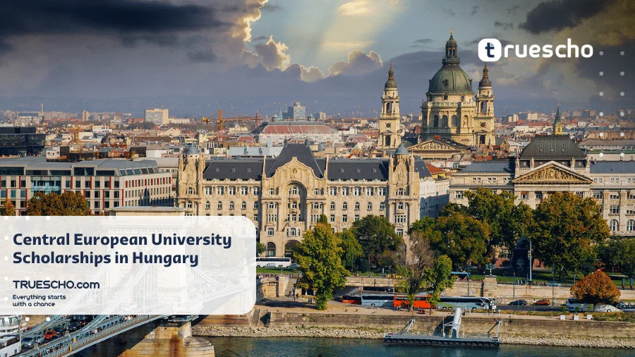 Central European University Scholarships