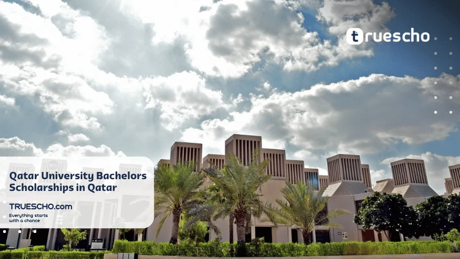 Qatar University Bachelors Scholarships
