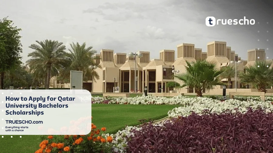 Qatar University Bachelors Scholarships 