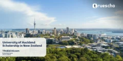 University of Auckland Scholarship in New Zealand (Funded) 2025