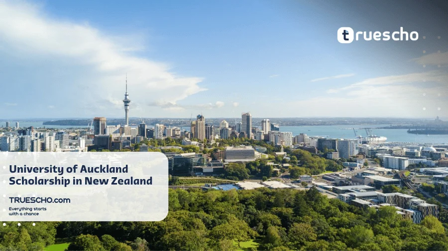 University of Auckland Scholarship