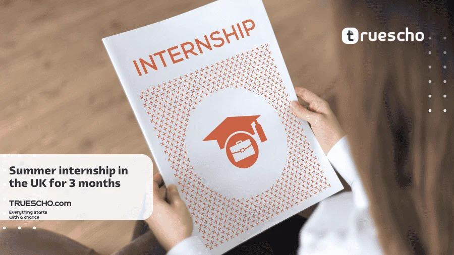 Summer internship in the UK