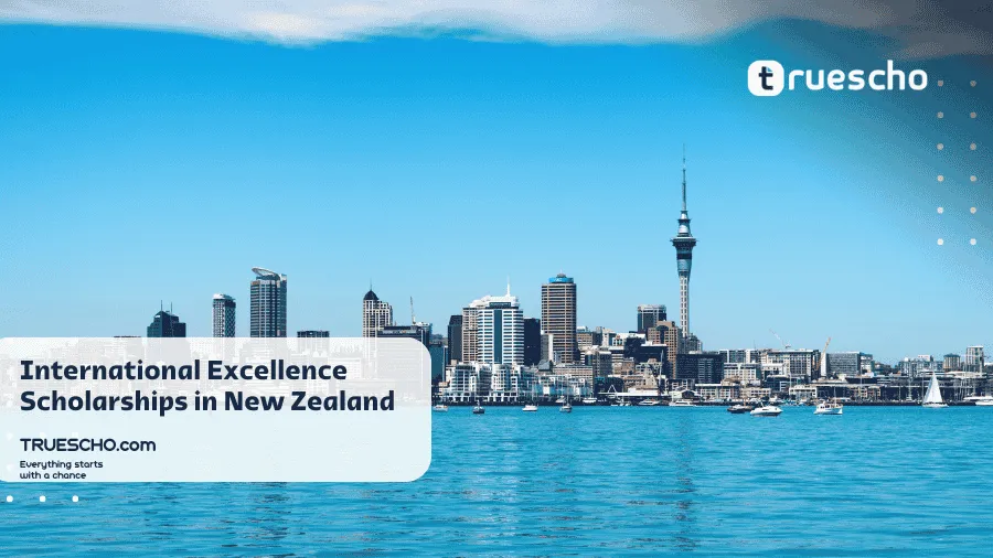 International Excellence Scholarships