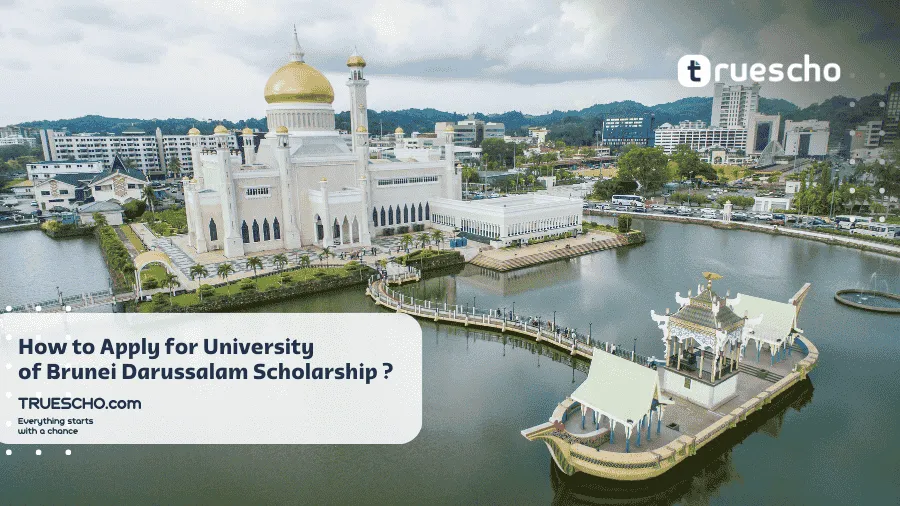 University of Brunei Darussalam Scholarship