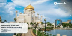University of Brunei Darussalam Scholarship 2025-26 ( Fully Funded )
