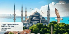 Youth Impact Forum (YIF) in Turkiye 2025 ( Fully Funded )