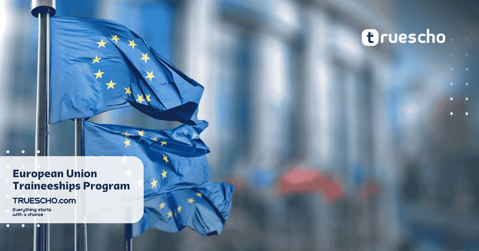 European Union Traineeships Program