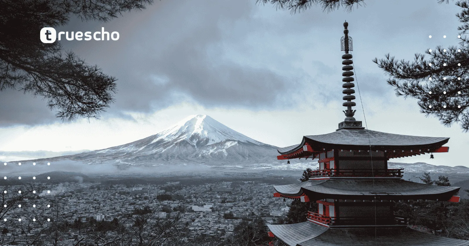 RIKEN IMS Internship Program