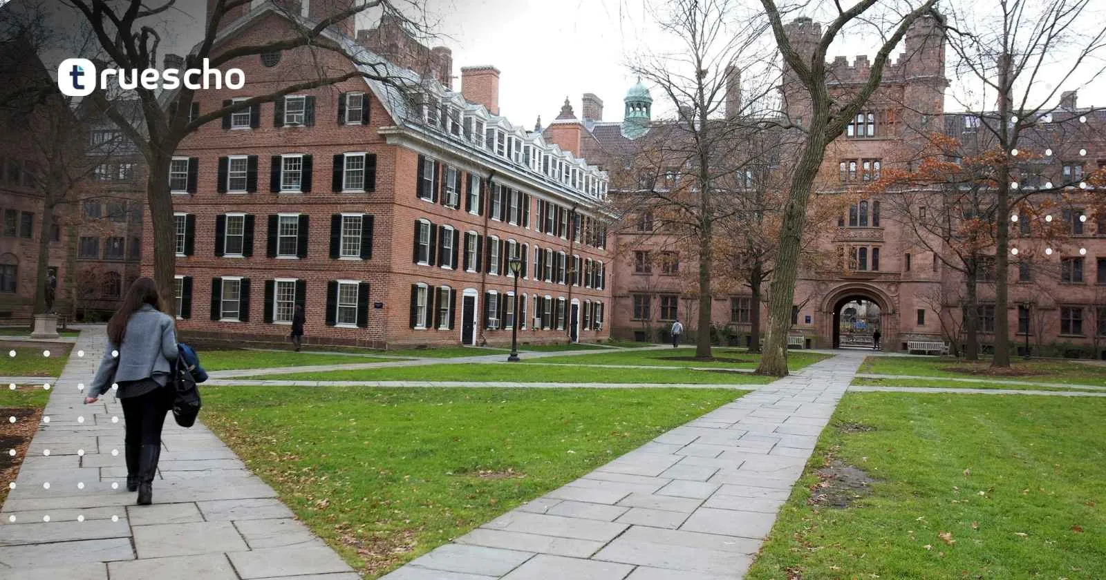 Harvard Rowland Fellows Program