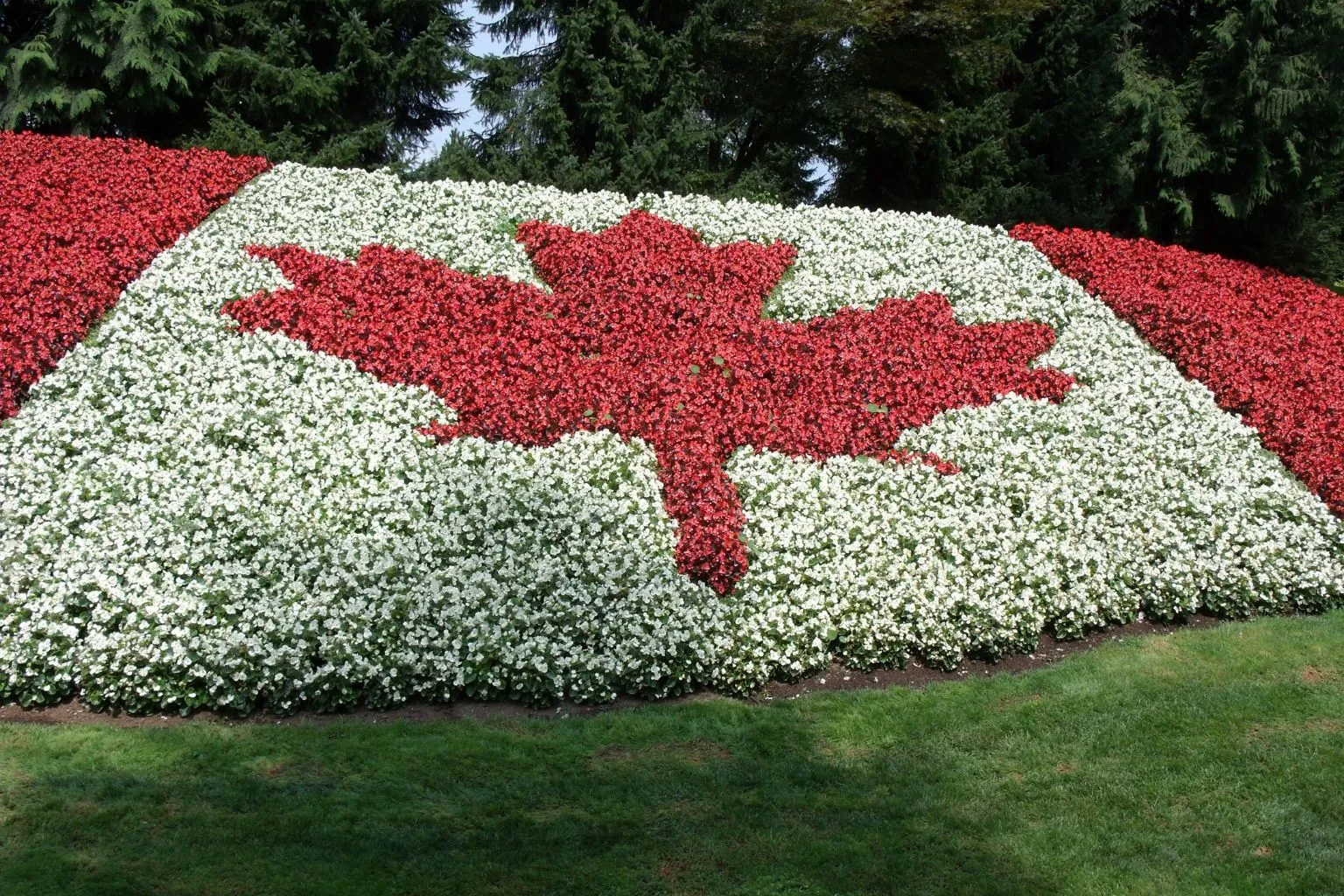 Discover Vancouver