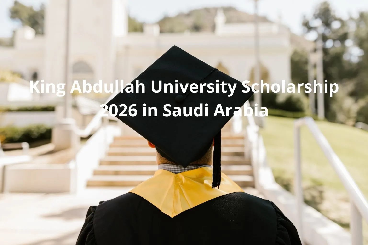 King Abdullah University Scholarship