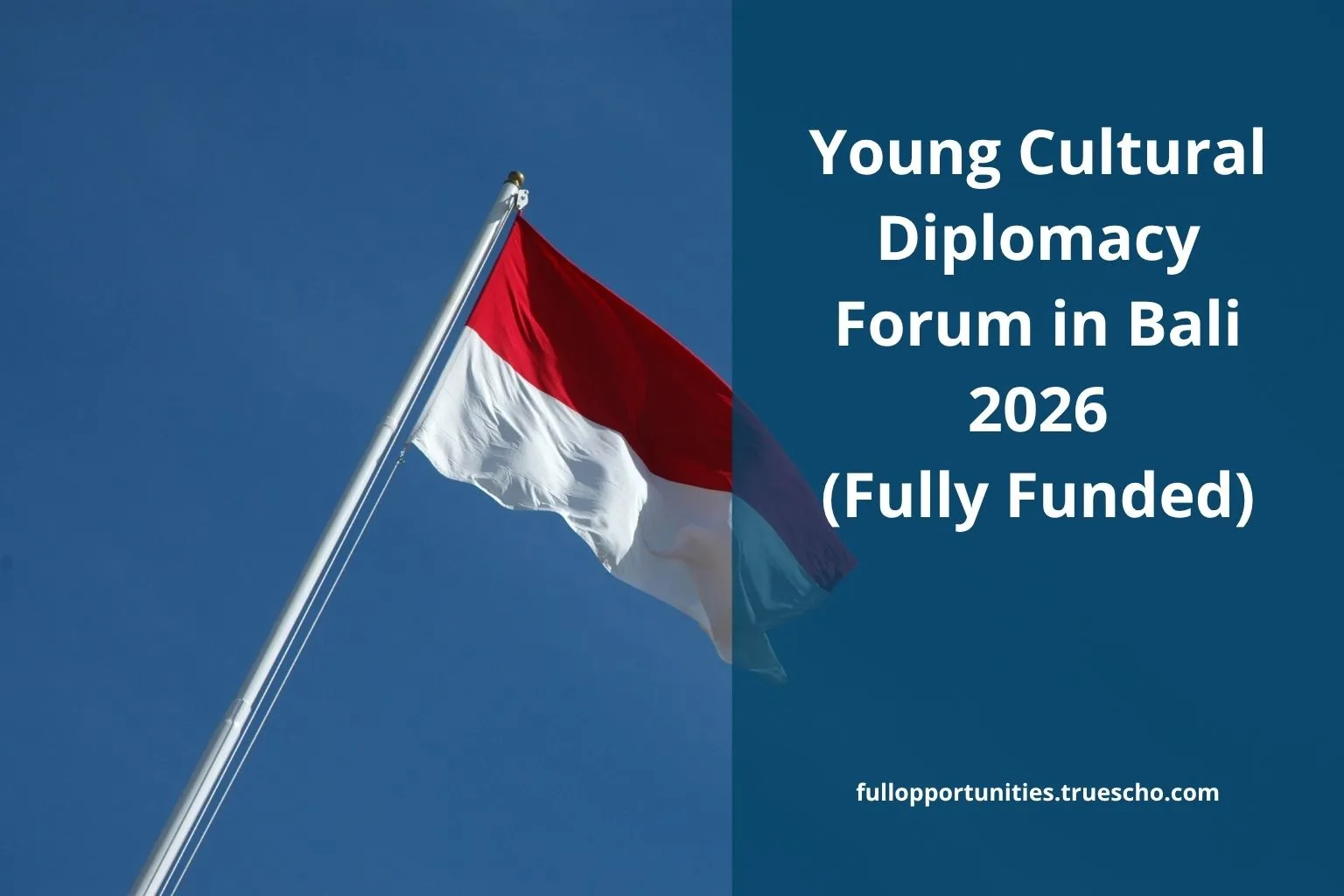 Young Cultural Diplomacy Forum