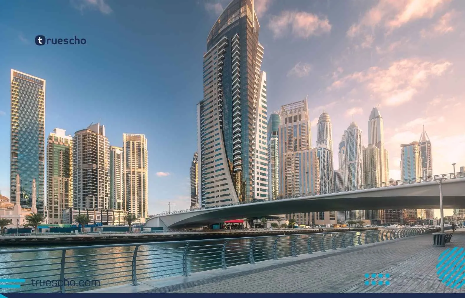 Senior Document Controller