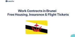 Work Contracts in Brunei 2026 |  Free Housing, Insurance & Flight Tickets