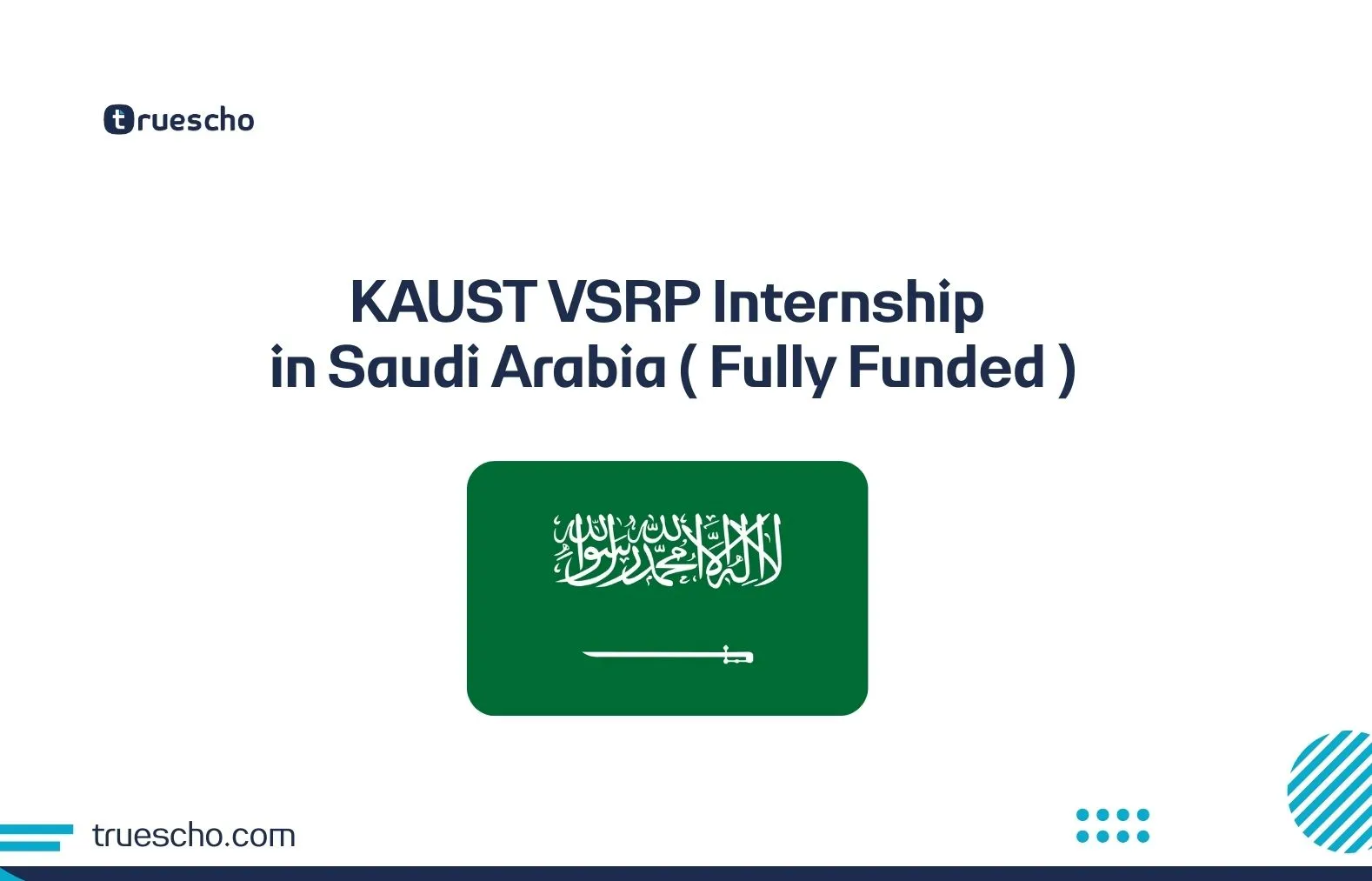 KAUST VSRP Internship