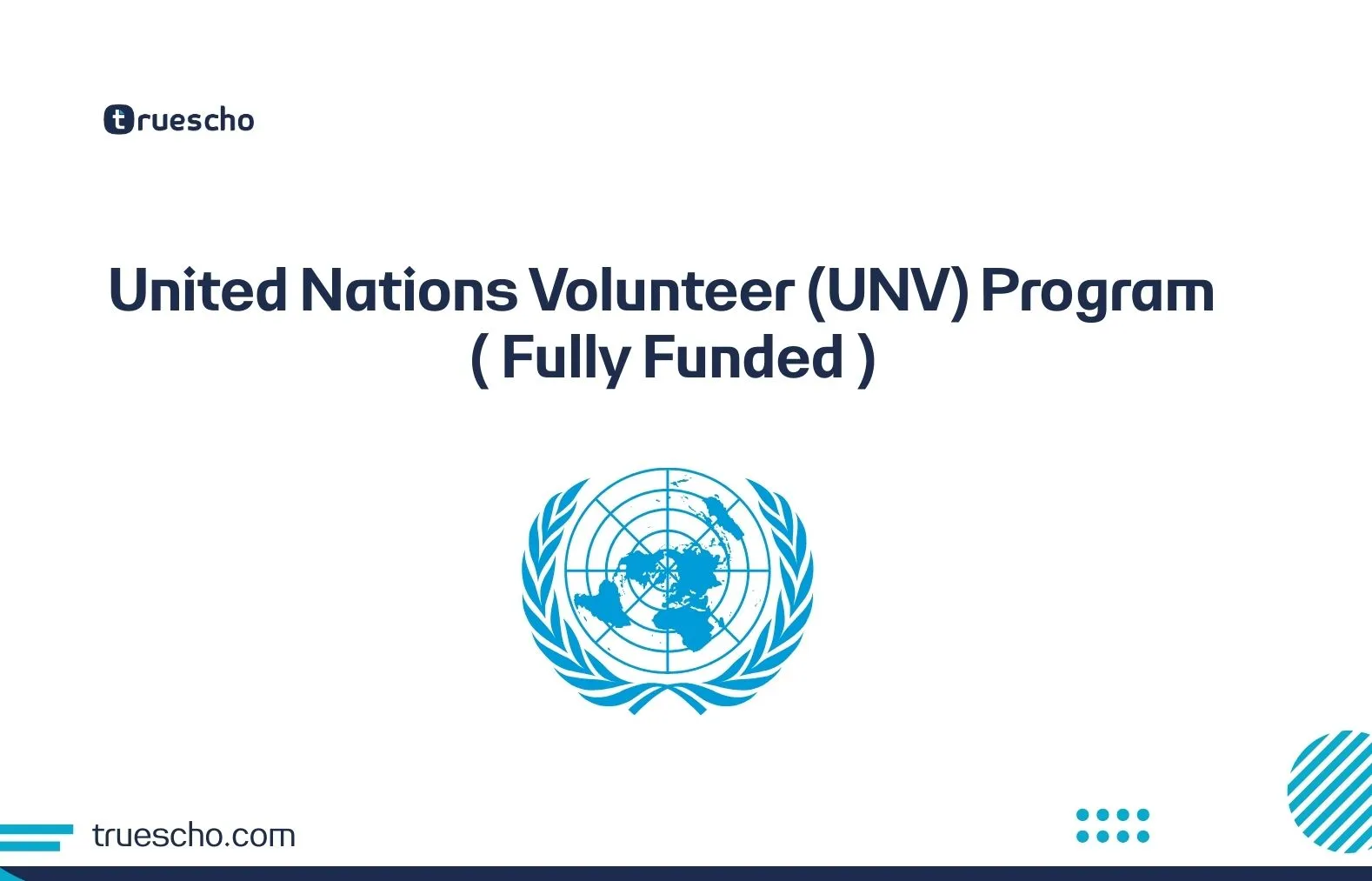 United Nations Volunteer