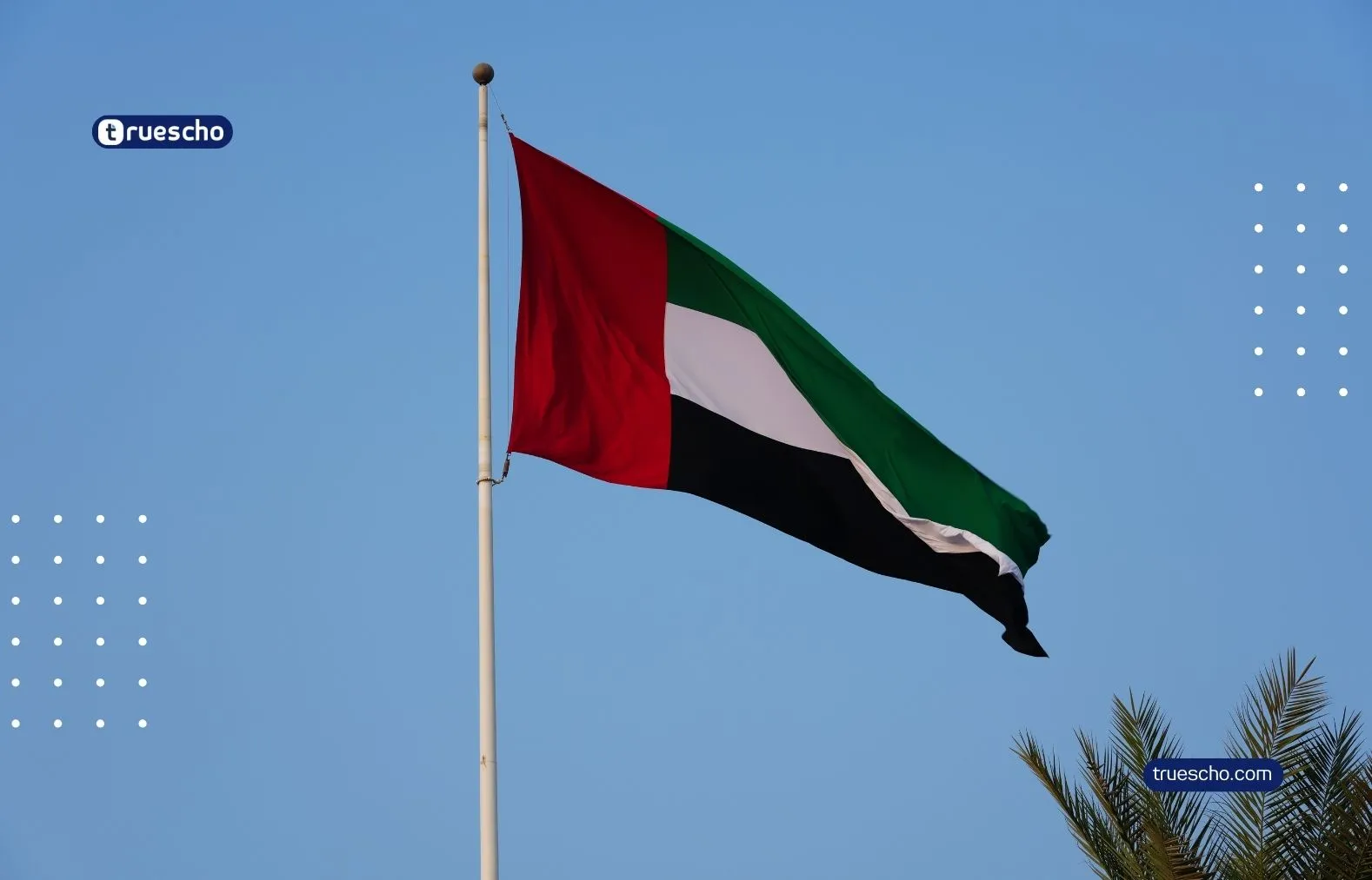 Job Opportunity in the United Arab Emirates