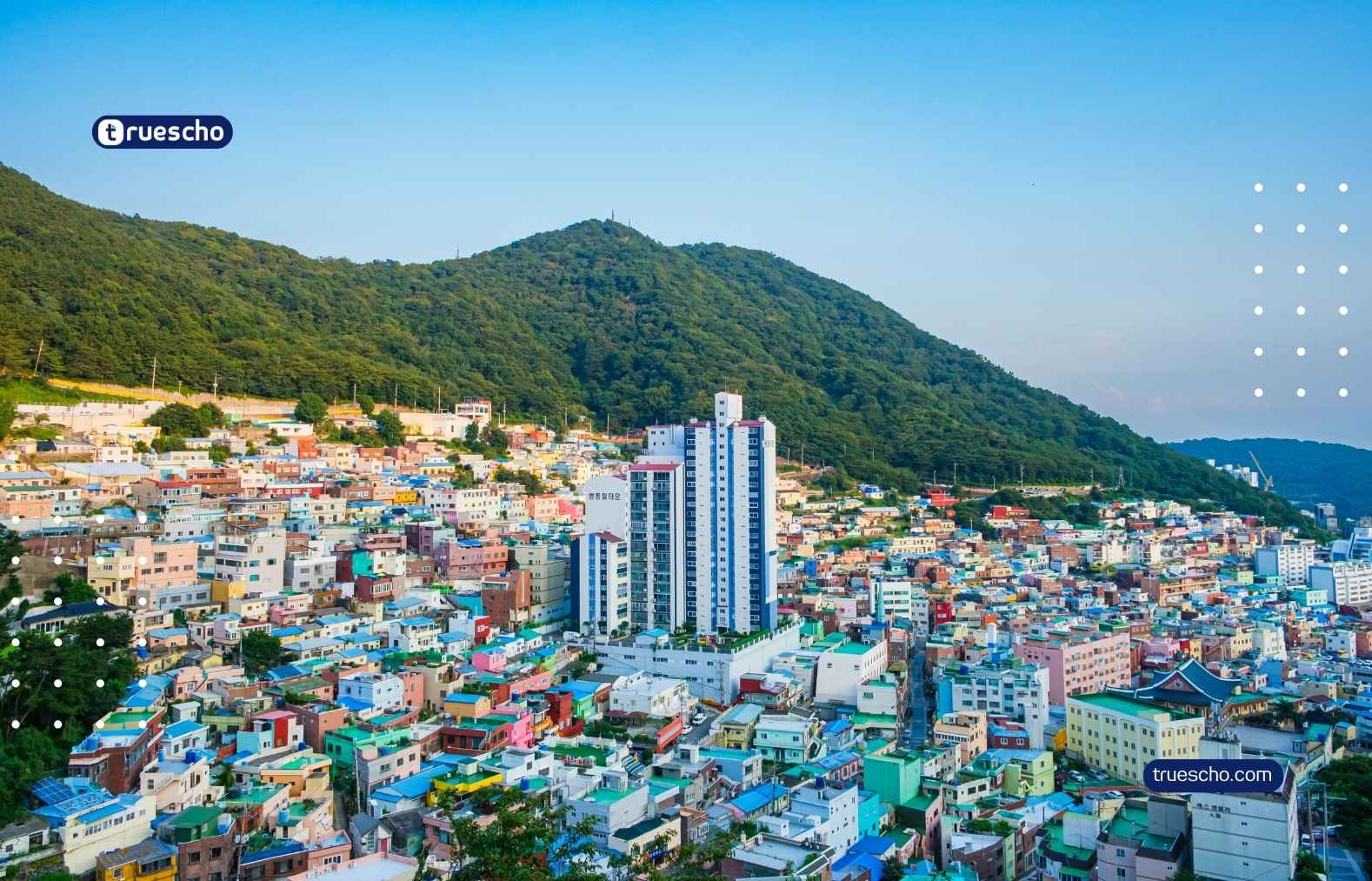 GIST Global Internship 