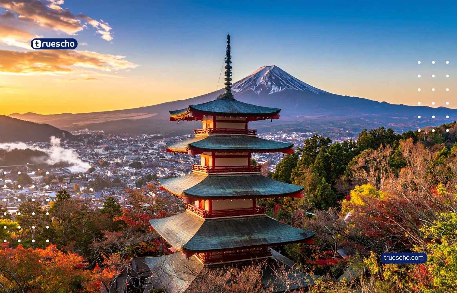 Woven Toyota Japan Internship